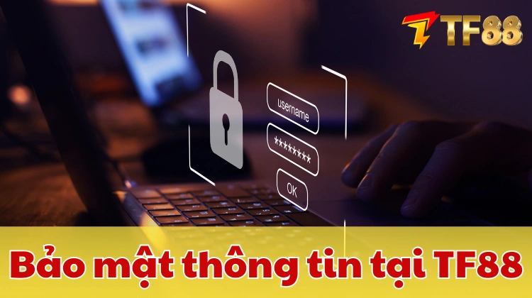 Ảnh minh hoạ: TF88 chú trọng yếu tố bảo mật và an toàn người chơi