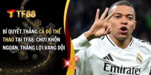 cá độ thể thao