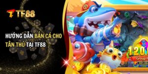 bắn cá cho tân thủ