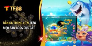 Bắn cá trúng lớn