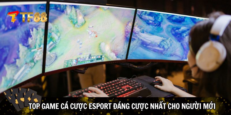 Top game cá cược eSport cho người mới
