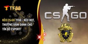 Kèo CS:GO